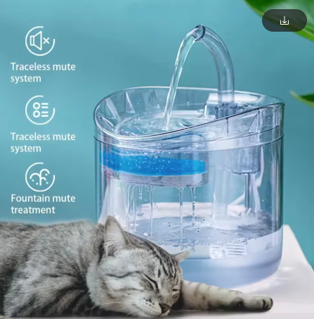 Automatic Cat Water Fountain – 2L Transparent Dispenser with Filter & Silent Pump