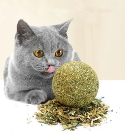 8 x Catnip Wall Balls