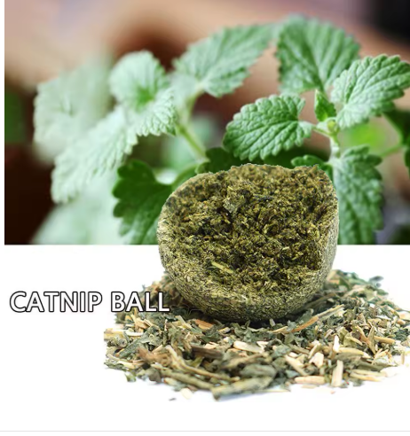 8 x Catnip Wall Balls
