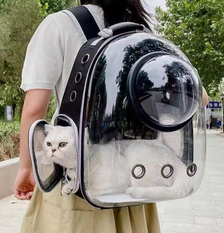 Galactic Backpack – Premium Vision Carrier