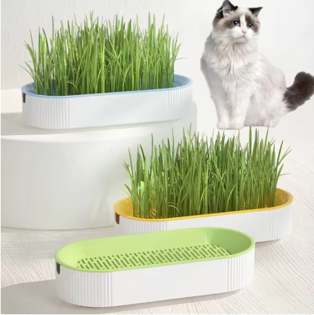 Cat Grass Pot Set – Hydroponic Soilless Cat Grass Growing Box