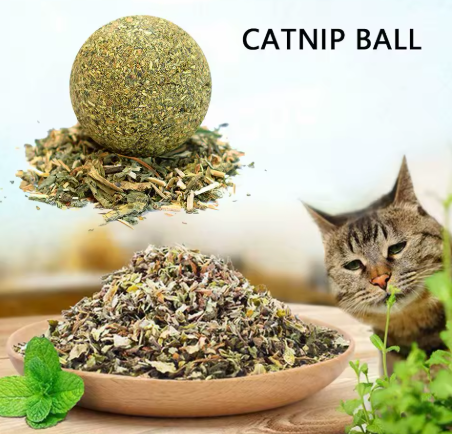 8 x Catnip Wall Balls
