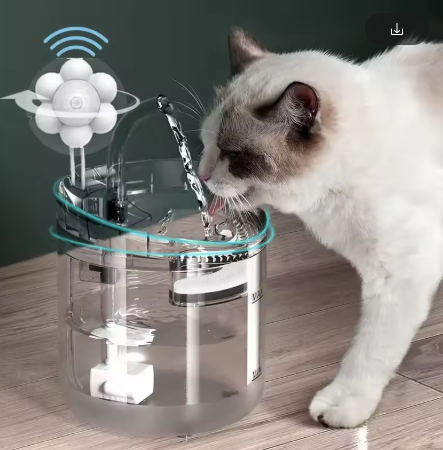 Automatic Cat Water Fountain – 2L Transparent Dispenser with Filter & Silent Pump